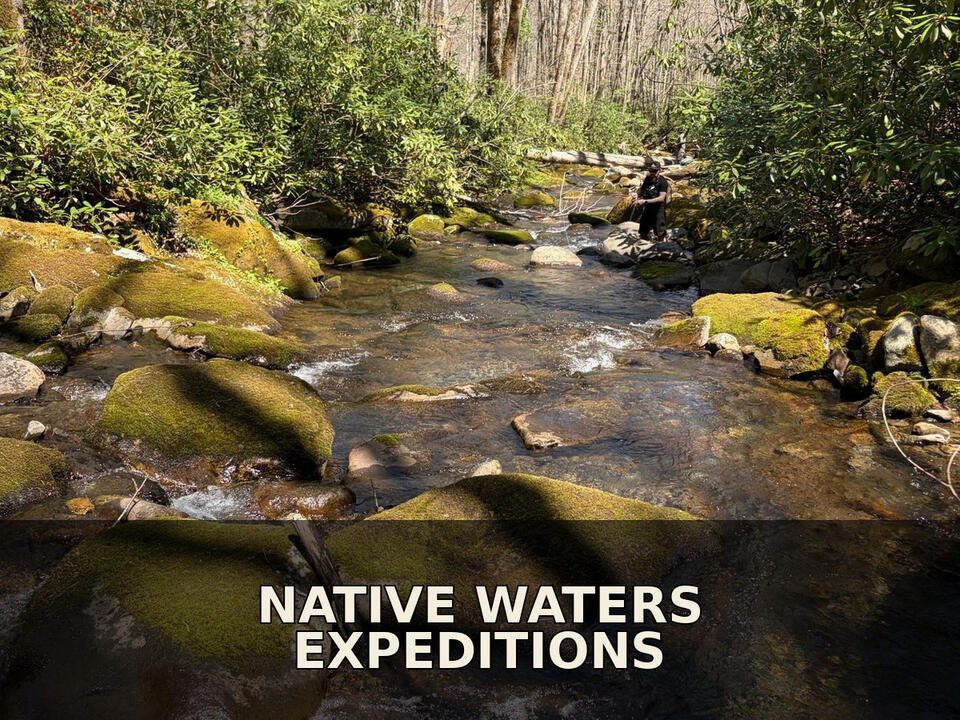 Expeditions